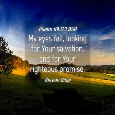 Picture 04 - Psalm 119:123 BSB - My eyes fail, looking for Your salvation, and for - Bible Verse Picture