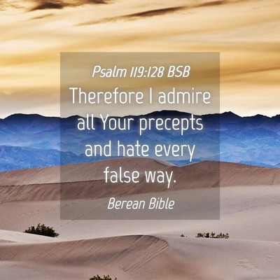 Picture 04 - Psalm 119:128 BSB - Therefore I admire all Your precepts and hate - Bible Verse Picture