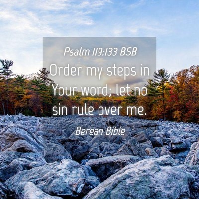 Picture 04 - Psalm 119:133 BSB - Order my steps in Your word; let no sin rule over - Bible Verse Picture