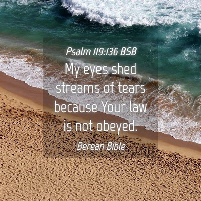 Picture 04 - Psalm 119:136 BSB - My eyes shed streams of tears because Your law is - Bible Verse Picture