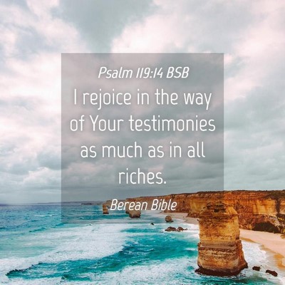 Picture 04 - Psalm 119:14 BSB - I rejoice in the way of Your testimonies as much - Bible Verse Picture