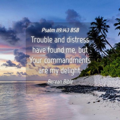 Picture 04 - Psalm 119:143 BSB - Trouble and distress have found me, but Your - Bible Verse Picture