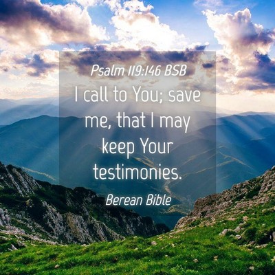 Picture 04 - Psalm 119:146 BSB - I call to You; save me, that I may keep Your - Bible Verse Picture