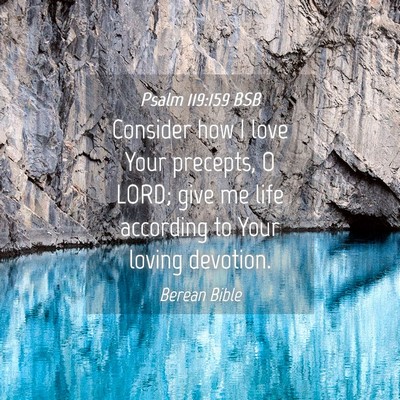 Picture 04 - Psalm 119:159 BSB - Consider how I love Your precepts, O LORD; give - Bible Verse Picture