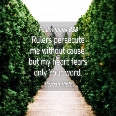 Picture 04 - Psalm 119:161 BSB - Rulers persecute me without cause, but my heart - Bible Verse Picture