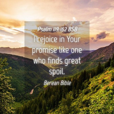 Picture 04 - Psalm 119:162 BSB - I rejoice in Your promise like one who finds - Bible Verse Picture