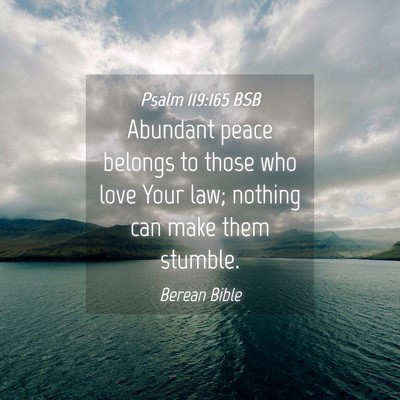 Picture 04 - Psalm 119:165 BSB - Abundant peace belongs to those who love Your - Bible Verse Picture