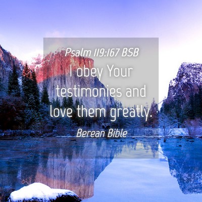 Picture 04 - Psalm 119:167 BSB - I obey Your testimonies and love them - Bible Verse Picture