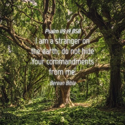 Picture 04 - Psalm 119:19 BSB - I am a stranger on the earth; do not hide Your - Bible Verse Picture