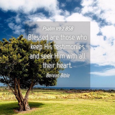 Picture 04 - Psalm 119:2 BSB - Blessed are those who keep His testimonies and - Bible Verse Picture