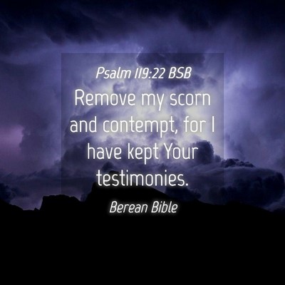 Picture 04 - Psalm 119:22 BSB - Remove my scorn and contempt, for I have kept - Bible Verse Picture