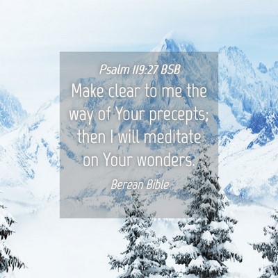 Picture 04 - Psalm 119:27 BSB - Make clear to me the way of Your precepts; then I - Bible Verse Picture