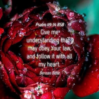 Picture 04 - Psalm 119:34 BSB - Give me understanding that I may obey Your law, - Bible Verse Picture