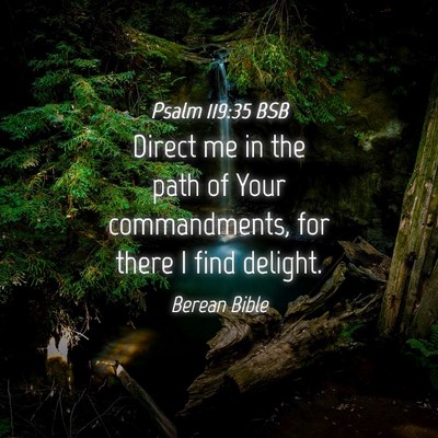 Picture 04 - Psalm 119:35 BSB - Direct me in the path of Your commandments, for - Bible Verse Picture
