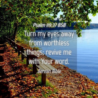Picture 04 - Psalm 119:37 BSB - Turn my eyes away from worthless things; revive - Bible Verse Picture