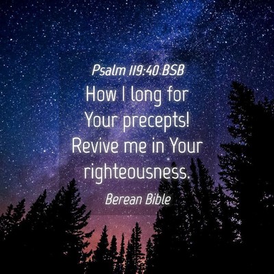 Picture 04 - Psalm 119:40 BSB - How I long for Your precepts! Revive me in Your - Bible Verse Picture