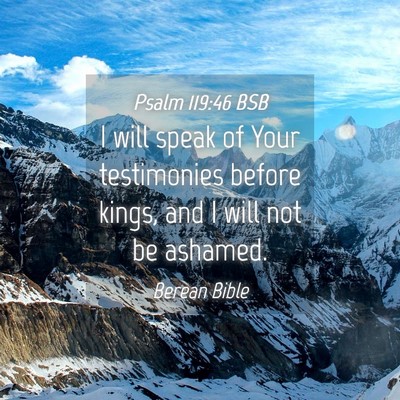 Picture 04 - Psalm 119:46 BSB - I will speak of Your testimonies before kings, - Bible Verse Picture