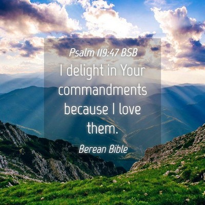 Picture 04 - Psalm 119:47 BSB - I delight in Your commandments because I love - Bible Verse Picture