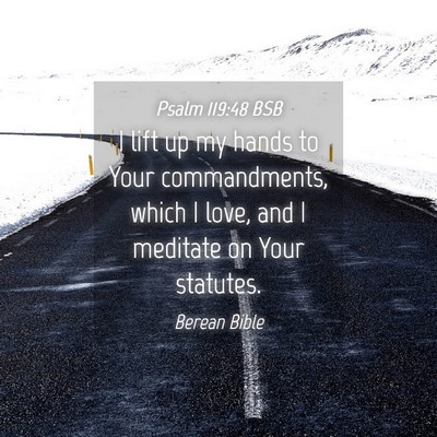 Picture 04 - Psalm 119:48 BSB - I lift up my hands to Your commandments, which I - Bible Verse Picture