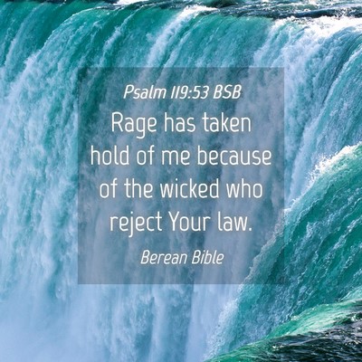 Picture 04 - Psalm 119:53 BSB - Rage has taken hold of me because of the wicked - Bible Verse Picture