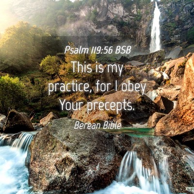 Picture 04 - Psalm 119:56 BSB - This is my practice, for I obey Your - Bible Verse Picture