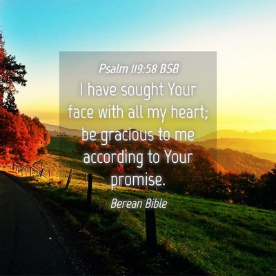 Picture 04 - Psalm 119:58 BSB - I have sought Your face with all my heart; be - Bible Verse Picture