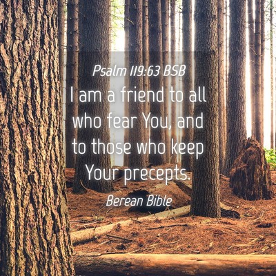 Picture 04 - Psalm 119:63 BSB - I am a friend to all who fear You, and to those - Bible Verse Picture