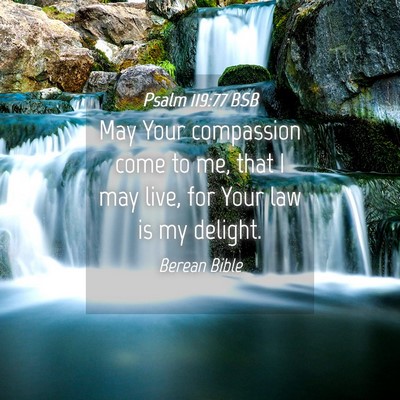 Picture 04 - Psalm 119:77 BSB - May Your compassion come to me, that I may live, - Bible Verse Picture