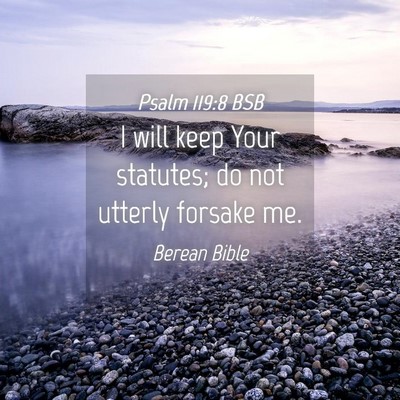 Picture 04 - Psalm 119:8 BSB - I will keep Your statutes; do not utterly forsake - Bible Verse Picture