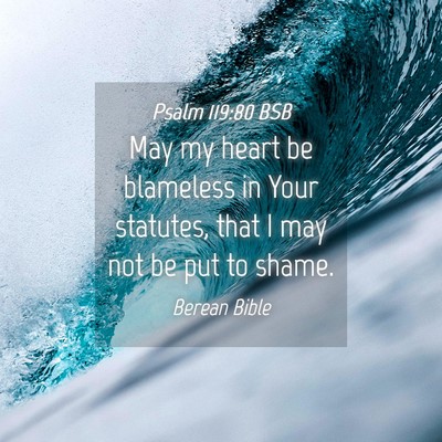 Picture 04 - Psalm 119:80 BSB - May my heart be blameless in Your statutes, that - Bible Verse Picture