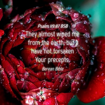 Picture 04 - Psalm 119:87 BSB - They almost wiped me from the earth, but I have - Bible Verse Picture