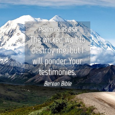 Picture 04 - Psalm 119:95 BSB - The wicked wait to destroy me, but I will ponder - Bible Verse Picture