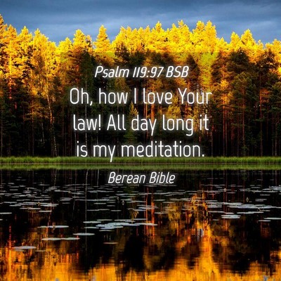 Picture 04 - Psalm 119:97 BSB - Oh, how I love Your law! All day long it is my - Bible Verse Picture