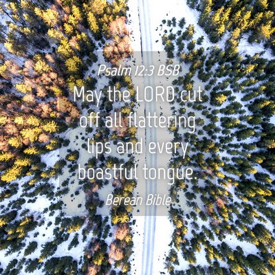 Picture 04 - Psalm 12:3 BSB - May the LORD cut off all flattering lips and - Bible Verse Picture