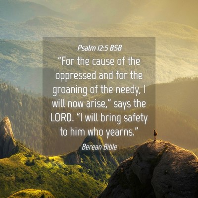 Picture 04 - Psalm 12:5 BSB - “For the cause of the oppressed and for the - Bible Verse Picture