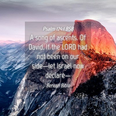 Picture 04 - Psalm 124:1 BSB - A song of ascents. Of David. If the LORD had not - Bible Verse Picture