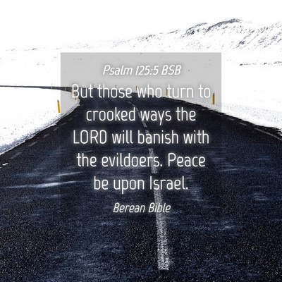 Picture 04 - Psalm 125:5 BSB - But those who turn to crooked ways the LORD will - Bible Verse Picture