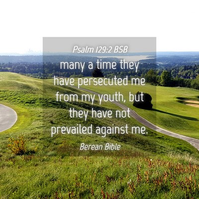 Picture 04 - Psalm 129:2 BSB - many a time they have persecuted me from my - Bible Verse Picture