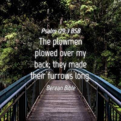 Picture 04 - Psalm 129:3 BSB - The plowmen plowed over my back; they made their - Bible Verse Picture
