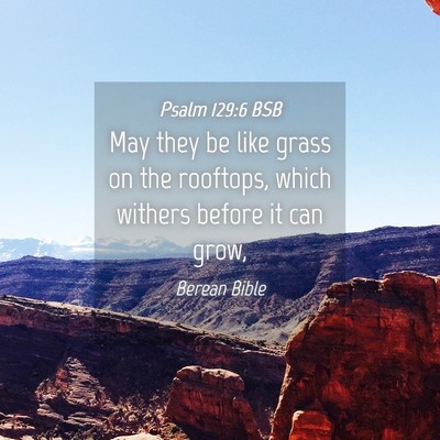 Picture 04 - Psalm 129:6 BSB - May they be like grass on the rooftops, which - Bible Verse Picture