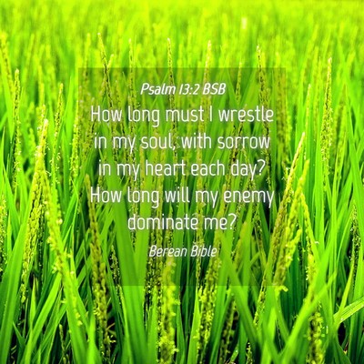 Picture 04 - Psalm 13:2 BSB - How long must I wrestle in my soul, with sorrow - Bible Verse Picture