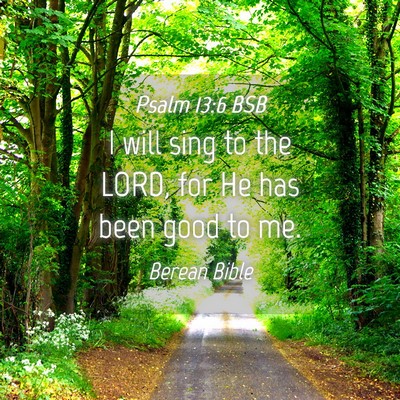 Picture 04 - Psalm 13:6 BSB - I will sing to the LORD, for He has been good to - Bible Verse Picture