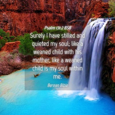 Picture 04 - Psalm 131:2 BSB - Surely I have stilled and quieted my soul; like a - Bible Verse Picture