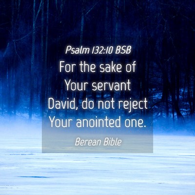 Picture 04 - Psalm 132:10 BSB - For the sake of Your servant David, do not reject - Bible Verse Picture