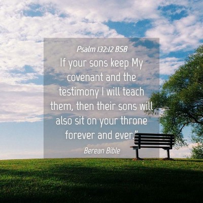 Picture 04 - Psalm 132:12 BSB - If your sons keep My covenant and the testimony I - Bible Verse Picture