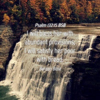 Picture 04 - Psalm 132:15 BSB - I will bless her with abundant provisions; I will - Bible Verse Picture