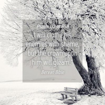 Picture 04 - Psalm 132:18 BSB - I will clothe his enemies with shame, but the - Bible Verse Picture
