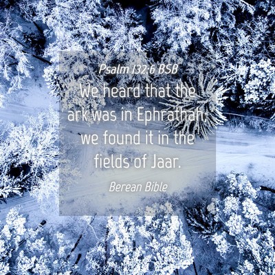 Picture 04 - Psalm 132:6 BSB - We heard that the ark was in Ephrathah; we found - Bible Verse Picture