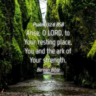 Picture 04 - Psalm 132:8 BSB - Arise, O LORD, to Your resting place, You and the - Bible Verse Picture