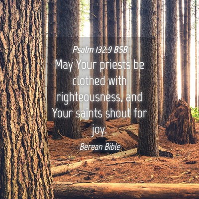 Picture 04 - Psalm 132:9 BSB - May Your priests be clothed with righteousness, - Bible Verse Picture